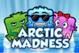 Arctic Madness review