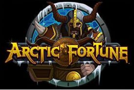 Arctic Fortune review