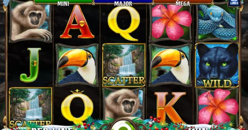 Play in Blue Panther Christmas Edition slot online from Spinomenal for free now | Casino-online-brazil.com