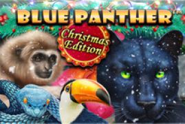 Blue Panther Christmas Edition slot online from Spinomenal