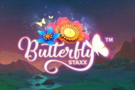 Butterfly Staxx review