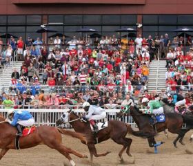 Ajax Downs Casino & Racetrack Image 1