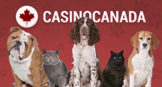 Casino Brazil Visits Animal Shelter