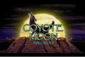 Coyote Moon review