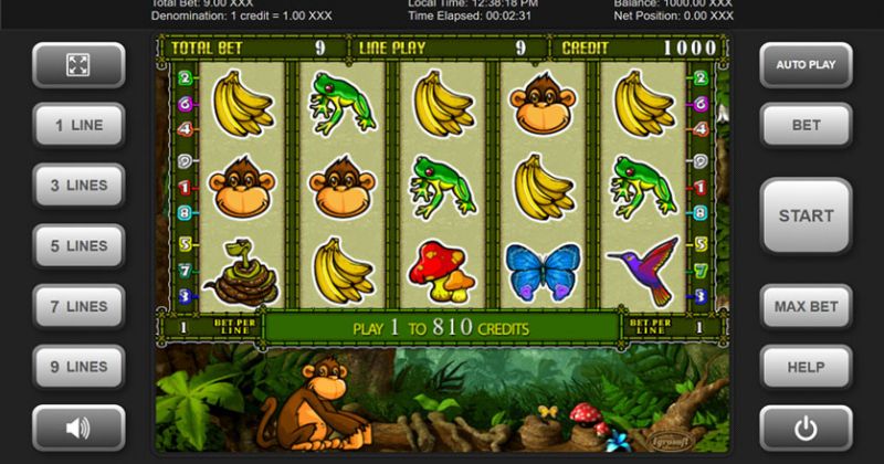 Play in Crazy Monkey 2 Slot Online From Igrosoft for free now | Casino-online-brazil.com