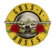 guns and roses slot logo
