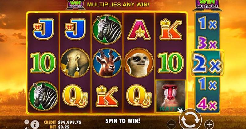 Play in Hot Safari Slot Online from Pragmatic Play for free now | Casino-online-brazil.com