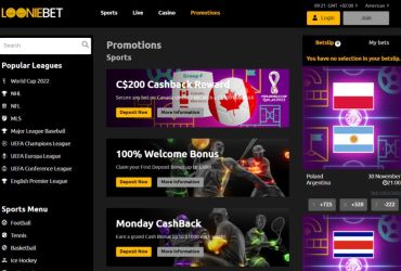 Looniebet Casino - promotions