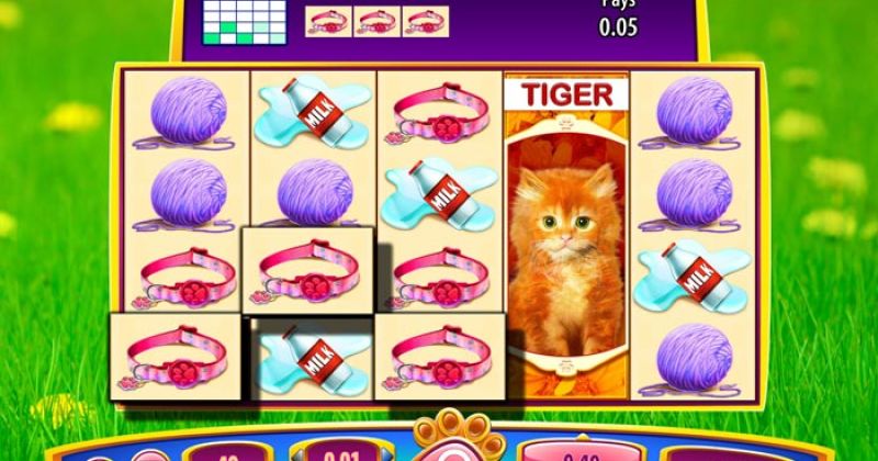 Play in OMG! Kittens Slot Online from WMS for free now | Casino-online-brazil.com