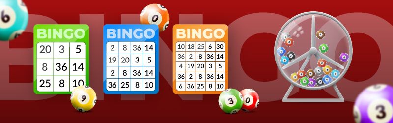 Online bingo main rules