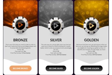 Playluck casino - info about VIP programme.