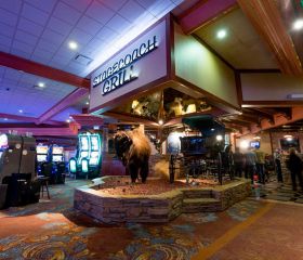 Pure Casino Lethbridge Image 1