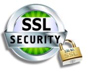 SSL security system logo