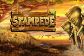 Stampede Slot Online from BetSoft