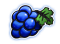 Grape