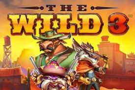 The Wild 3 review