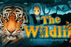 The Wildlife 2 review