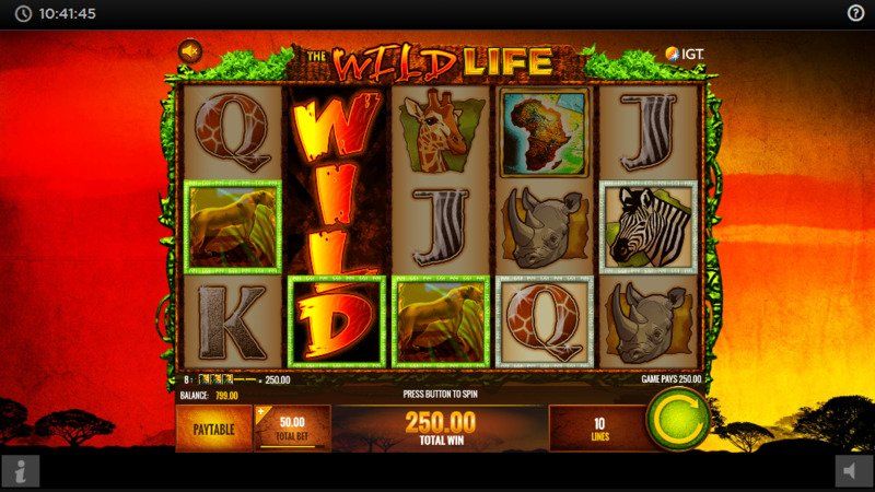 The Wildlife Slot wild feature