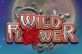 Wild Flower Slot Online from Big Time Gaming