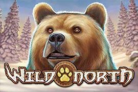 Wild North Slot Online from Play’N Go