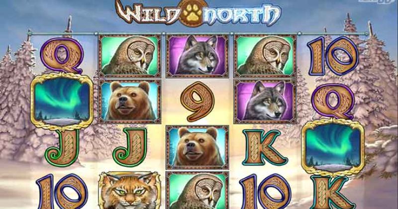 Play in Wild North Slot Online from Play’N Go for free now | Casino-online-brazil.com