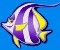 Purple-white fish