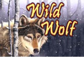 Wild Wolf review