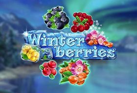 Winterberries