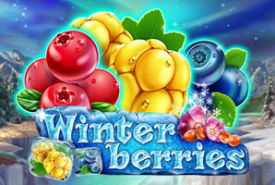 Winterberries review